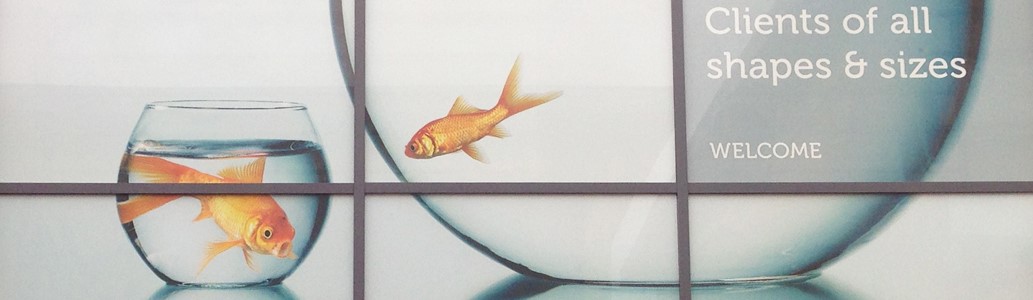 One-Way Printed Graphics