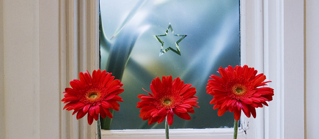 Decorate your windows