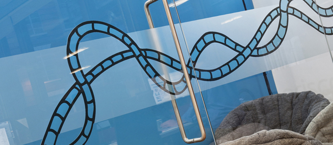 Bring your glass to life with film from The Window Film Company