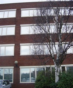 High Reflective Silver Window Film