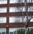 High Reflective Silver Window Film