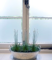 Frostbrite Cut to Size