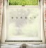 FB039 Frosted Window Film