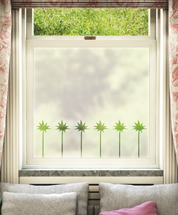 FB113 Frosted Window Film