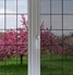 Optiview 45 Window Film