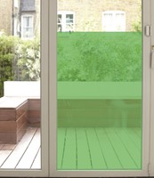 Rainbow Light Green 523