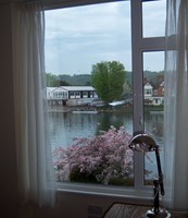 Climate 70 Window Film