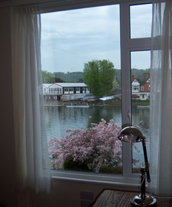Climate 70 Window Film