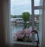 Climate 70 Window Film