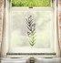FB109 Frosted Window Film