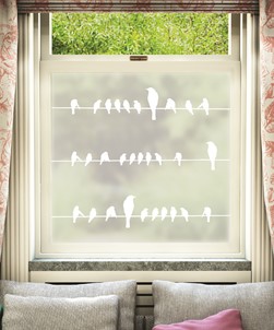 Pajaros