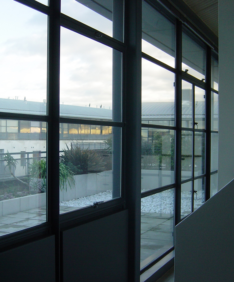 Pre-Cut 175 Micron Security Film - 1524mm x 2m Roll