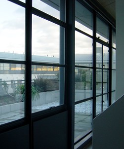 Pre-Cut 175 Micron Security Film - 1524mm x 3m Roll