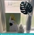 FB017 Frosted Window Film