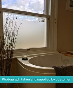FB035 Frosted Window Film