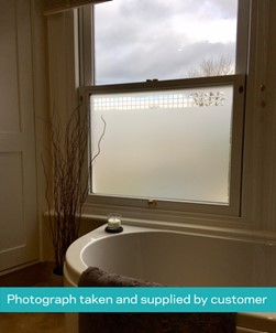 FB035 Frosted Window Film
