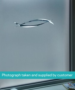 FB103 Frosted Window Film