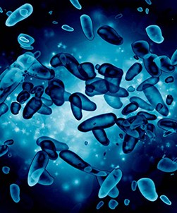 Neutralux Antimicrobial Film by Madico
